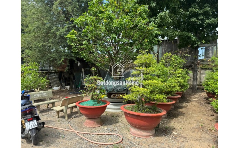 Đất Mặt Tiền Võ Thị Hồi Xuân Thới Đông Hóc Môn DT 4000m2 Chỉ 66 Tỷ